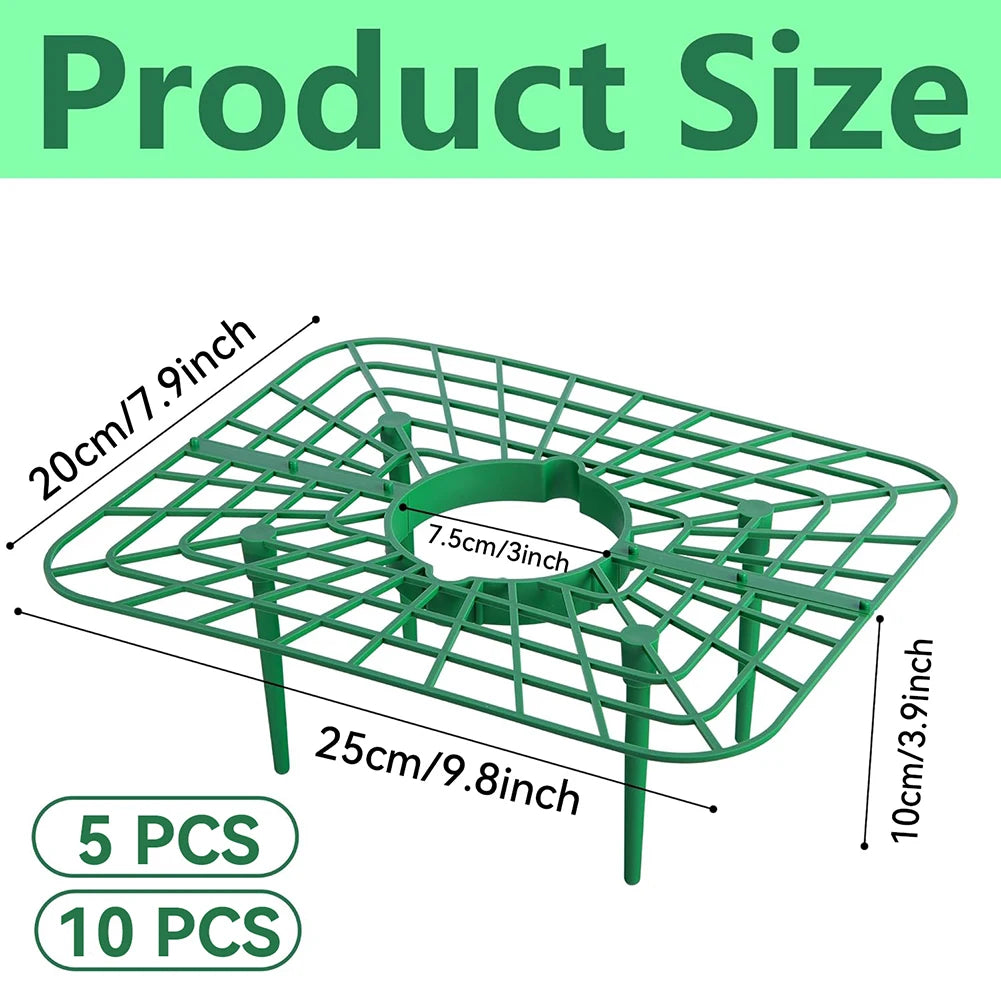 10 Packs Square Strawberry Stand Holder