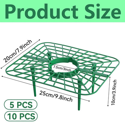 10 Packs Square Strawberry Stand Holder