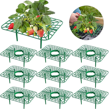 10 Packs Square Strawberry Stand Holder