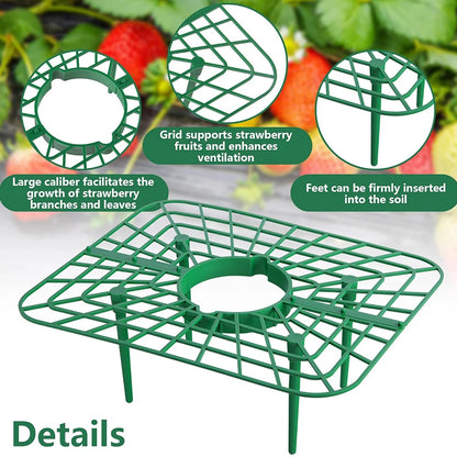 10 Packs Square Strawberry Stand Holder